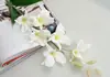 Flor Artificial Orquídea Pequena de Galho Único Simples Europeia Alta Flor Artificial Decoração de Sala de Estar Universal Orquídea Dendrobium Flor Artificial Flor de Seda