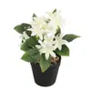 Flores de Tecido Seda Sintética Plantas em Vasos Planta Verde de Mesa Bonsai Decoração de Jardim Interior Plantas Florais Artificiais Papoulas Rosas