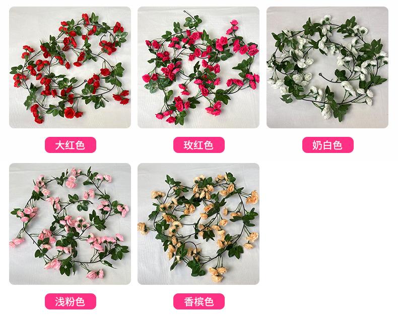 产品颜色.jpg