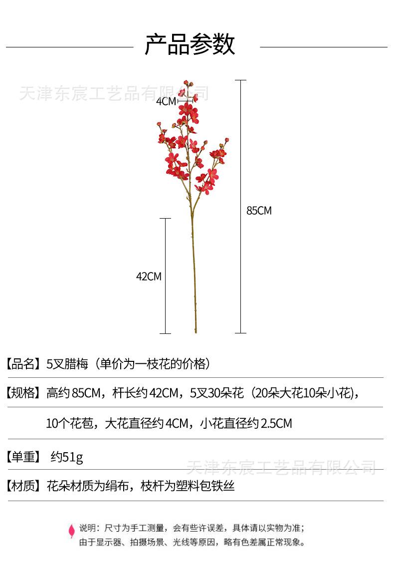 详情_01.jpg