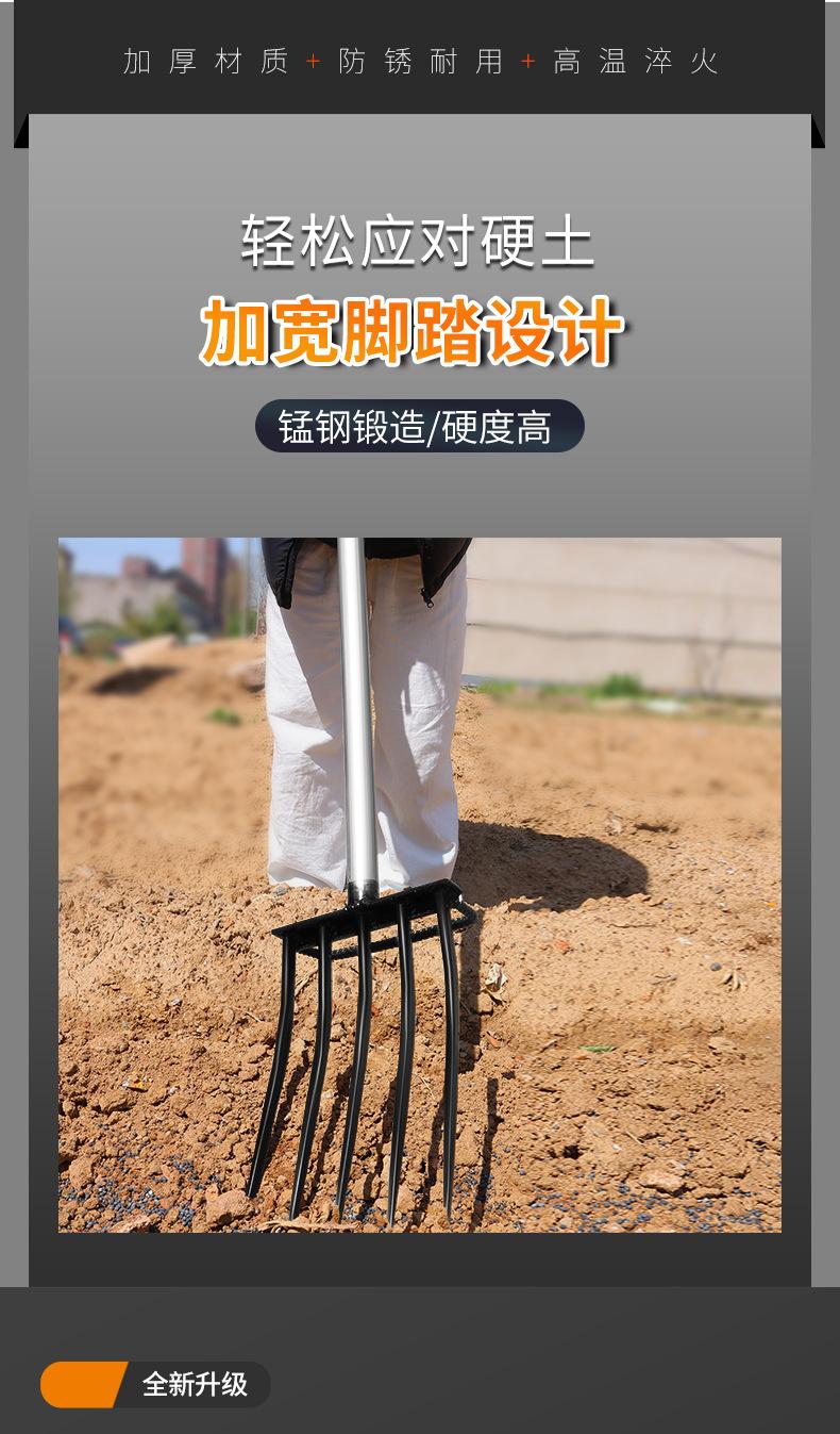 详情_13.jpg