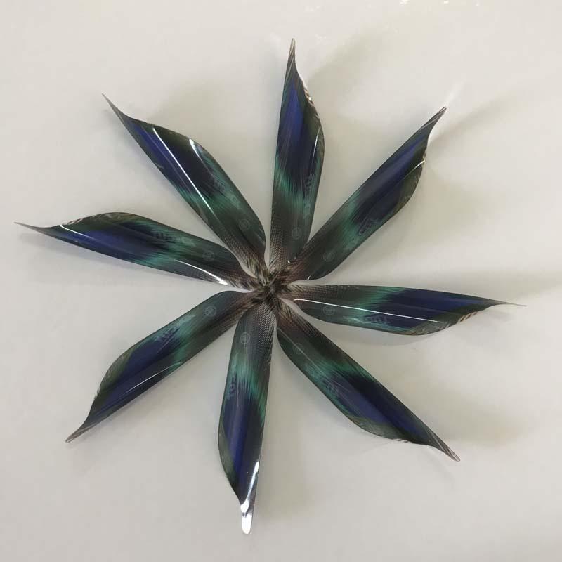 孔雀绿