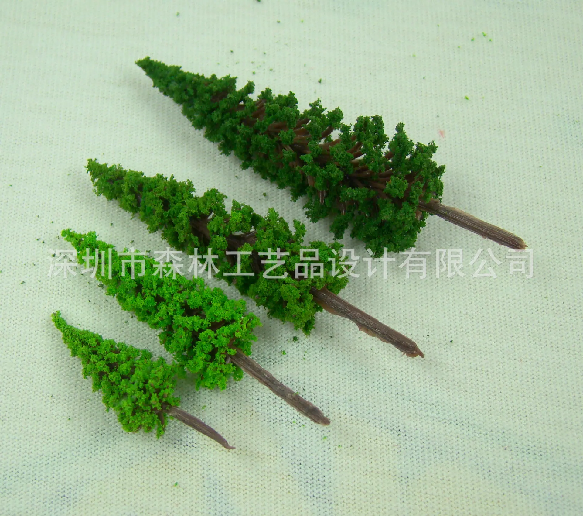 塔松形灌木3