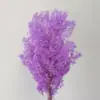Venta al por mayor de Flores de Pino Inmortalizadas para Flores Secas Transfronterizas, Productos Florales DIY, Ramos, Decoración del Hogar, Arreglos Florales con Flores Reales, Yunnan