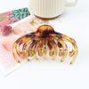 Pinza para el cabello con forma de garra con estampado de leopardo de estilo coreano nuevo, pinza para el cabello de moda, pinza sencilla para coleta de color cinta transparente