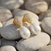 Pendientes Europeos y Americanos de Nuevo Estilo con Circonita Microincrustada en Forma de Gota de Agua, Pendientes de Perla de Concha Elegantes y de Moda, Clavos para Orejas de Acero Inoxidable Chapados en Oro Real de 18 Quilates