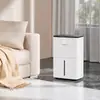 Deshumidificador doméstico con panel de control inteligente, deshumidificador hecho a medida de fábrica, deshumidificadores en múltiples especificaciones, fabricación ODM