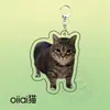 Llavero Acrílico Mini-Teatro de Memes de Gatos, Lindo y Divertido, Colgante Decorativo para Mochila, Regalo para Amigos