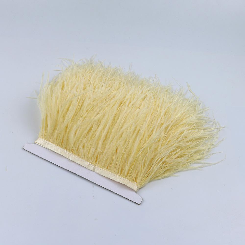 48 ostrich feather fringe 2