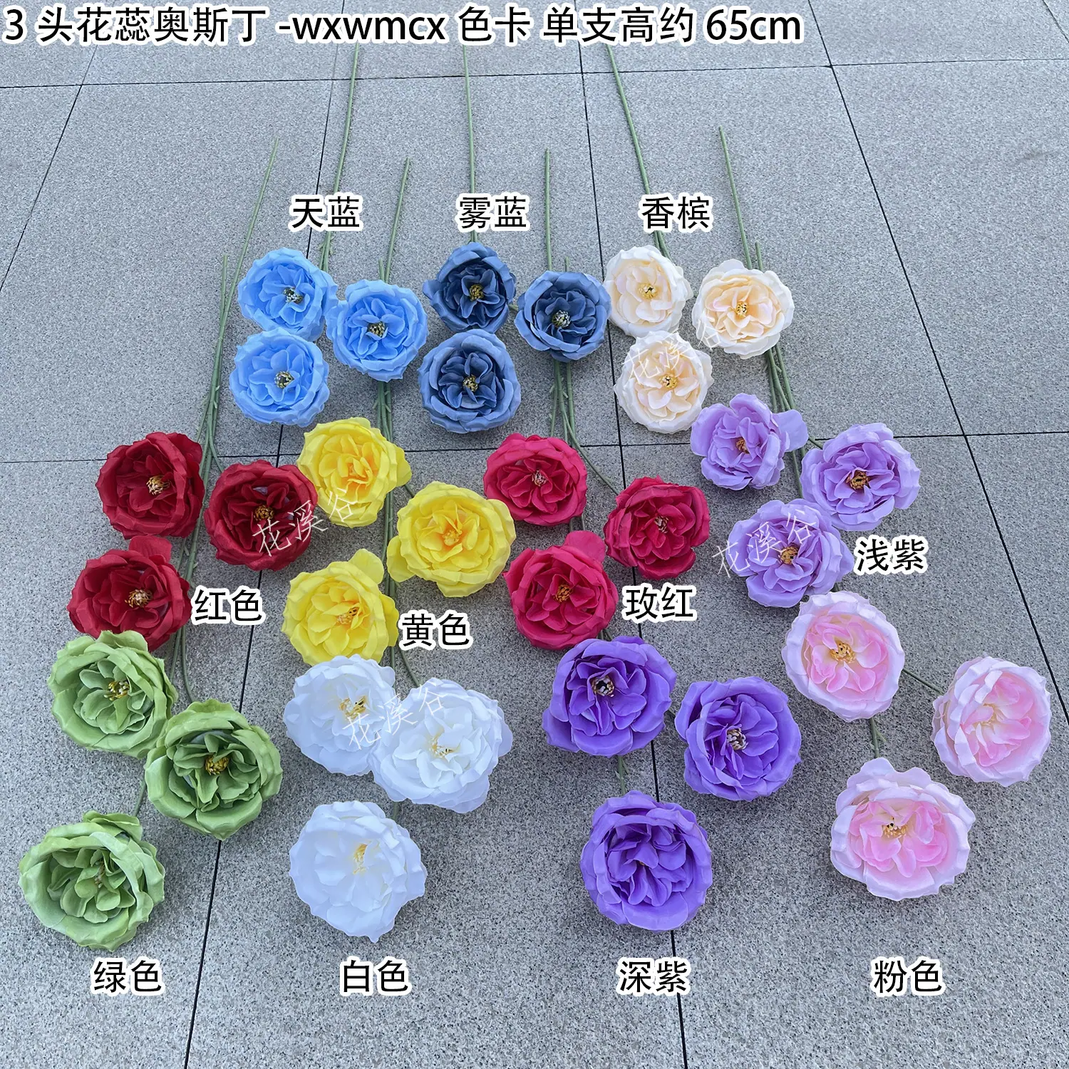 3头花蕊奥斯丁-wxwmcx 色卡 花溪谷.jpg