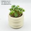 Bonsái de Planta Verde Nórdica Flor Falsa Decoración de Interior Decoración de Escritorio Biónica Suculenta Pequeña Planta en Maceta