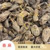 Especialidad de Yunnan Zhaotong Tianma 500g Primavera Tianma a Granel en Stock Venta al por Mayor Profesional Tianma Negro Gran Cantidad Precio Excelente