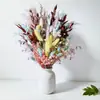 Buquê de Flores Secas de Yunnan Produto Acabado Flor Real Misturada com Ornamentos de Eucalipto Folha Redonda Decoração de Móveis para Quarto Vendas Diretas da Fábrica