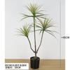 Planta Verde Artificial Envasada Árvore Sangue de Dragão de Folhas Estreitas, Agave, Árvore Iuca, Rabo de Cavalo Agulha de Ferro Girassol, Árvore de Ferro Decoração de Janela