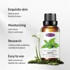 Óleos Essenciais de Aromaterapia à Base de Plantas Ingleses para Umidificadores, Incluindo Pedras Difusoras e Óleos Essenciais Solúveis em Água de Lavanda, Rosa, Hortelã-Pimenta e Sândalo