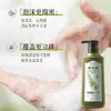 500ml Grande Capacidade Tamanho Família Qiwetang Shampoo Antiqueda Extrato de Folha de Platycladus Gengibre Planta Medicinal Fabricante Entrega