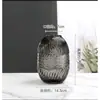 Bambú Dorado Hidropónico Planta en Maceta de Interior para Sala de Estar, Oficina y Decoración del Hogar, Vegetación de Escritorio Fácil de Cuidar