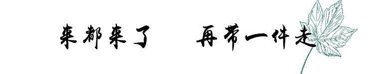 未标题-1