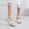 Zapatos de Tela Bordados Estilo Retro Chino Lisos Elegantes para Danza de Persecución de Sueños Hanfu, Suela Suave, Tacón Pequeño, Zapatos de Una Sola Capa para Mujer