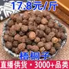 Semillas de Paulownia, Semillas de Paulownia, Semillas de Calabaza, Semillas de Paulownia, Semillas de Árbol de Aceite de Paulownia Venta al por Mayor y Entrega