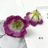 Flores Artificiais Flores Médias de Platycodon Headdress Étnico DIY Chapéu de Formatura Acessórios de Flor de Seda Enfeites para Fotografia de Casa