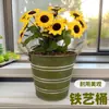 Maceta Decorativa de Hierro Vintage Asa de Cuerda de Cáñamo Cubo para Plantar Decoraciones de Escritorio Decoraciones Color Tamaño Personalizable