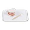 Materiais Didáticos Montessori Conjunto Infantil de Escovação e Lavagem Brinquedos Educativos de Educação Infantil Dentaduras Modelo Dental Jardim de Infância Cognitivo Dentes