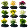 Nuevo Maceta Pequeña Poco Profunda Piedra Negra Malla 5 Plantas Acuáticas Bonsái Pequeño Oficina en Casa Escritorio Flor Artificial Adornos de Bonsái