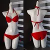 Férias na Praia Fonte Termal Rosa Rosa Vermelho Rosa Biquíni Maiô Feminino Aço Push-Up Sexy Estilo Três Pontos para Seios Grandes e Pequenos