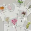 Cielo estrellado flor seca Día de la Madre tarjeta de felicitación bendición escrita a mano Festival de la Diosa tarjeta de felicitación de dibujos animados postventa flores tarjeta de agradecimiento