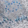 Pegatinas para Uñas Mariposa Azul Hielo Textura Gel Tensor M-661 Pegatinas para Uñas Estrella Fugaz Mariposa Estilo Sal Fresca