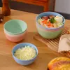 Tazón de plástico tazón para sopa tazón para arroz creativo paja de trigo hogar tazón para fideos instantáneos vajilla tazón de plástico resistente a caídas fábrica para venta al por mayor