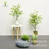 Planta Simulada Simulação de Planta Limoeiro Nórdico Grande Planta Verde Falsa Planta em Vaso Sala de Estar Interna Decorações Ornamentais Fruta Bonsai