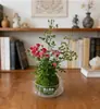 [con Capullos] Mini Planta de Rosa Hidropónica, Huishuiji, Florece Todo el Año, Planta Verde de Interior, Bola de Musgo de Fácil Cuidado