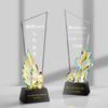 Colorido laser Troféu medalha criativa impressão a cores Troféu concurso prêmio troféu lembrança atacado personalização