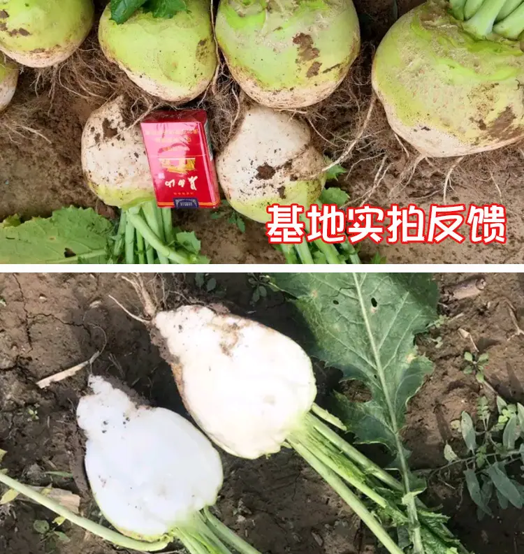 阿里版_09