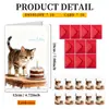 Novo Cartão de Cumprimentos de Feliz Aniversário Conjunto de Cartões de Cumprimentos com Envelope Amazon Gatinho de Desenho Animado Cartão com Mensagem Afetuosa