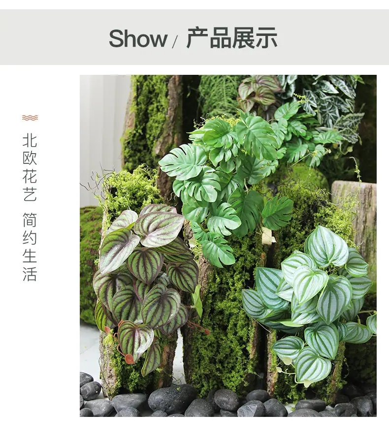 垂吊造景叶子_13.jpg