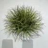 Hierba Artificial Decoración de Interiores Paisajismo Exhibición en Ventana Mobiliario Suave Plantas Artificiales Adornos Paquete Otro Musgo Artificial Hecho a Mano