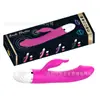 Haoqi juego divertido pequeño dragón de jade divertido silicona doble vibración palo de masaje dispositivo de masturbación femenina palo AV fabricantes venta al por mayor