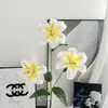 Lírio-do-vale Impresso em 3D, Hemerocallis, Flores de Lírio Artificiais, Decorações para Casa e Casamento, Decoração de Casamento Arte Floral, Flores de Seda