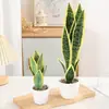 Planta Hypoxis em Vaso com Folhas Altas, Nervuras Prateadas, Pernas Longas, Folhas Verdes, Planta em Vaso Simulada, Sala de Estar Interna, Escritório Fabricante Atacado