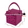 Bolsa EVA Nova com Furos DIY Bolsa de Gelatina Acessórios de Frutas Fofos Encontro na Praia Bolsa de Mão Simples Venda Quente Transfronteiriça