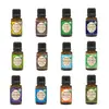 Suministro Exclusivo Transfronterizo para el Mercado de Amazon en EE. UU., Más Vendido Tk Más Vendido Aceite de Menta y Jojoba - Aceite Esencial para Masaje Corporal