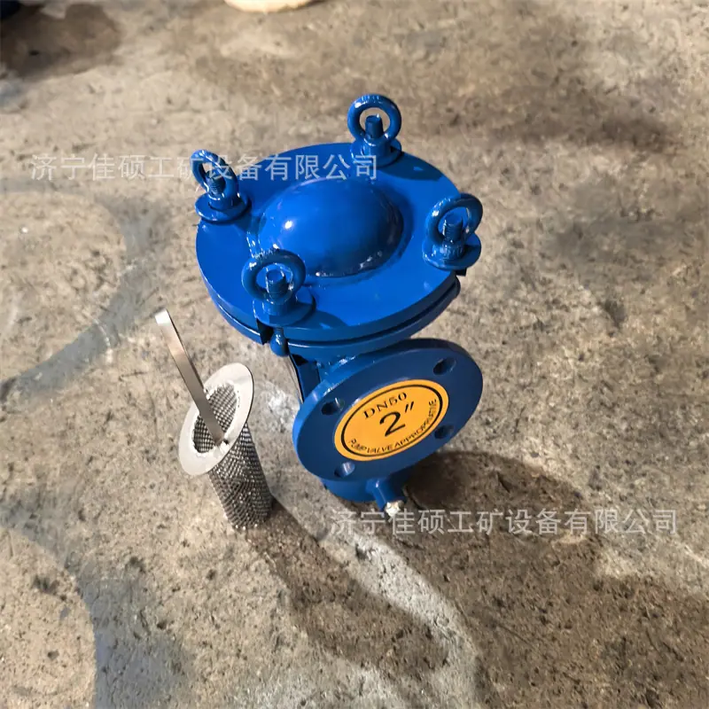 篮式过滤器 (17)