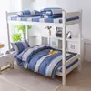 Novo Modelo 2025 Conjunto de Três Peças 100% Algodão para Estudantes Conjunto de Roupa de Cama Puro Algodão para Dormitório Estudantil