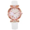 Reloj para Mujer Estilo Coreano Estudiante Simple Moderno de Moda Estrella de Mar Casual Cuarzo Reloj para Mujer Mismo Estilo Fabricante de Relojes Venta Directa