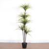 Simulação Dacaemia Árvore do Milênio Simulação Planta Verde Planta em Vaso Decoração de Interior Simulação Árvore Dacaemia Árvore Simulada Planta Verde Falsa