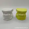 Ensino Odontológico Modelo Odontológico Gesso Modelo de Boca Inteira Prática de Aluno Odontologia 10 Conjuntos Materiais Orais Ortodontia