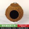 Ninho de Casca de Coco para Periquitos, Agapornis, Calopsitas, Pássaros Canoros, Papagaios; Ninho Quente de Grama Tecida para Pet; Suprimentos para Brinquedos de Pássaros